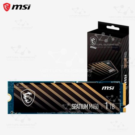 DISCO DURO SOLIDO MSI SPATIUM M450