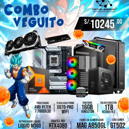 combo-gamer-veguito