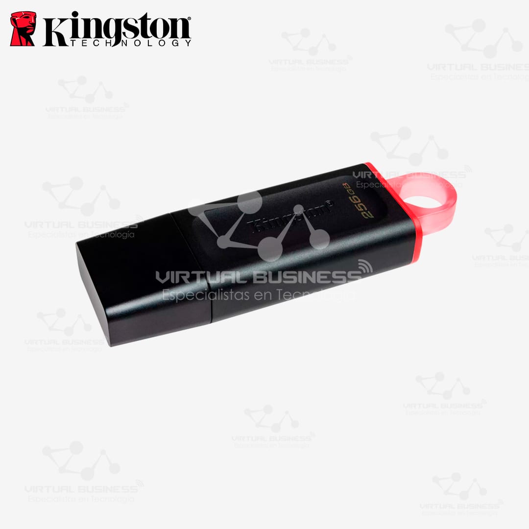 MEMORIA FLASH USB KINGSTON EXODIA 256GB - Imagen 3