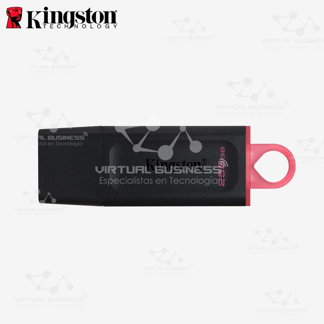 MEMORIA FLASH USB KINGSTON EXODIA 256GB - Imagen 2